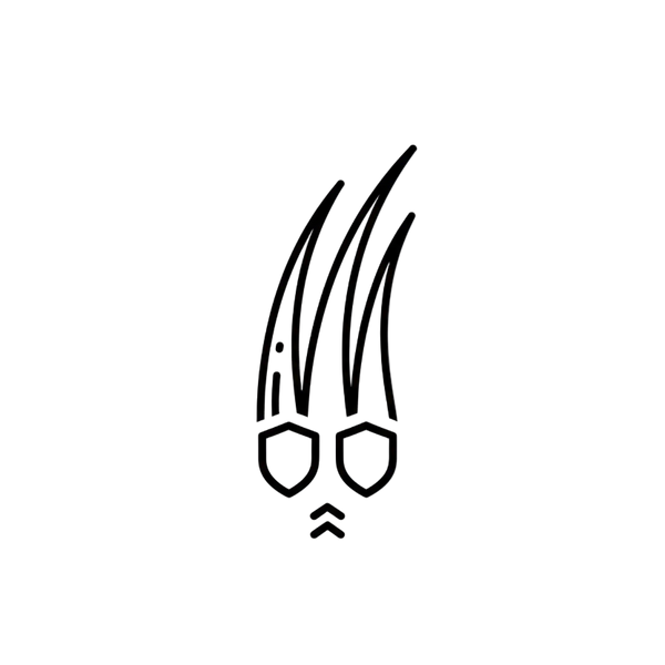 reduced hair breakage icon (line drawing would be better)